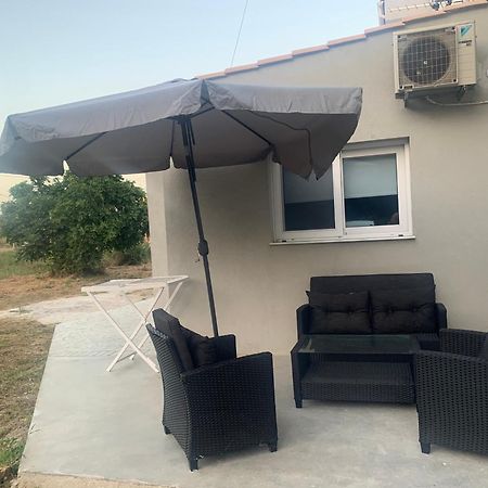 Terpsichore Boutique Appartments Dassia  Dış mekan fotoğraf