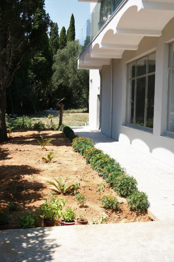 Terpsichore Boutique Appartments Dassia  Dış mekan fotoğraf